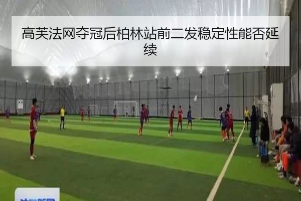 gao-fu-fa-wang-duo-guan-hou-bo-lin-zhan-qian-er-fa-wen-ding-xing-neng-fou-yan-xu-2-216.jpg