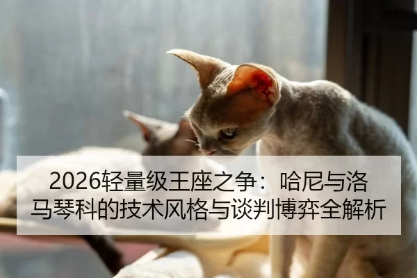 2026轻量级王座之争：哈尼与洛马琴科的技术风格与谈判博弈全解析